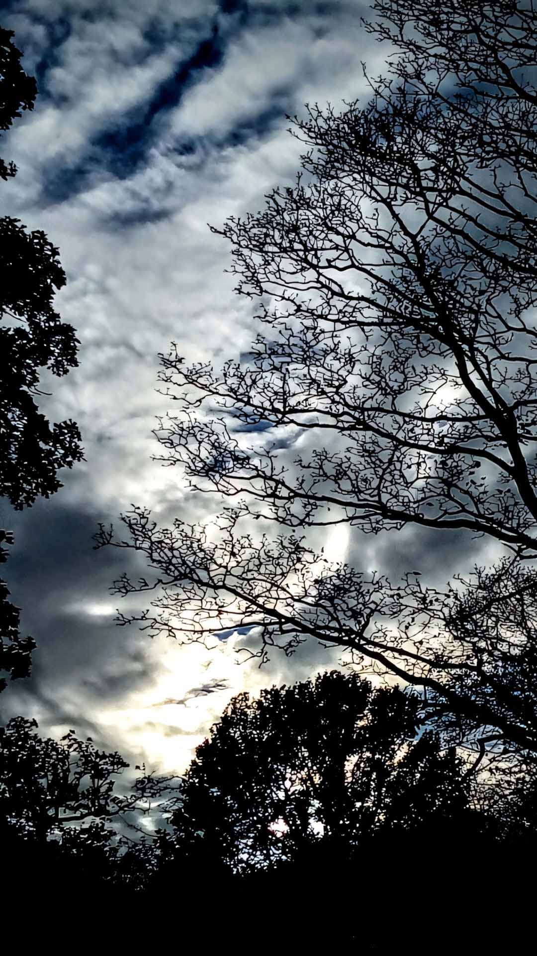 anh chill phong canh buon 1920px 1080px full hd 24