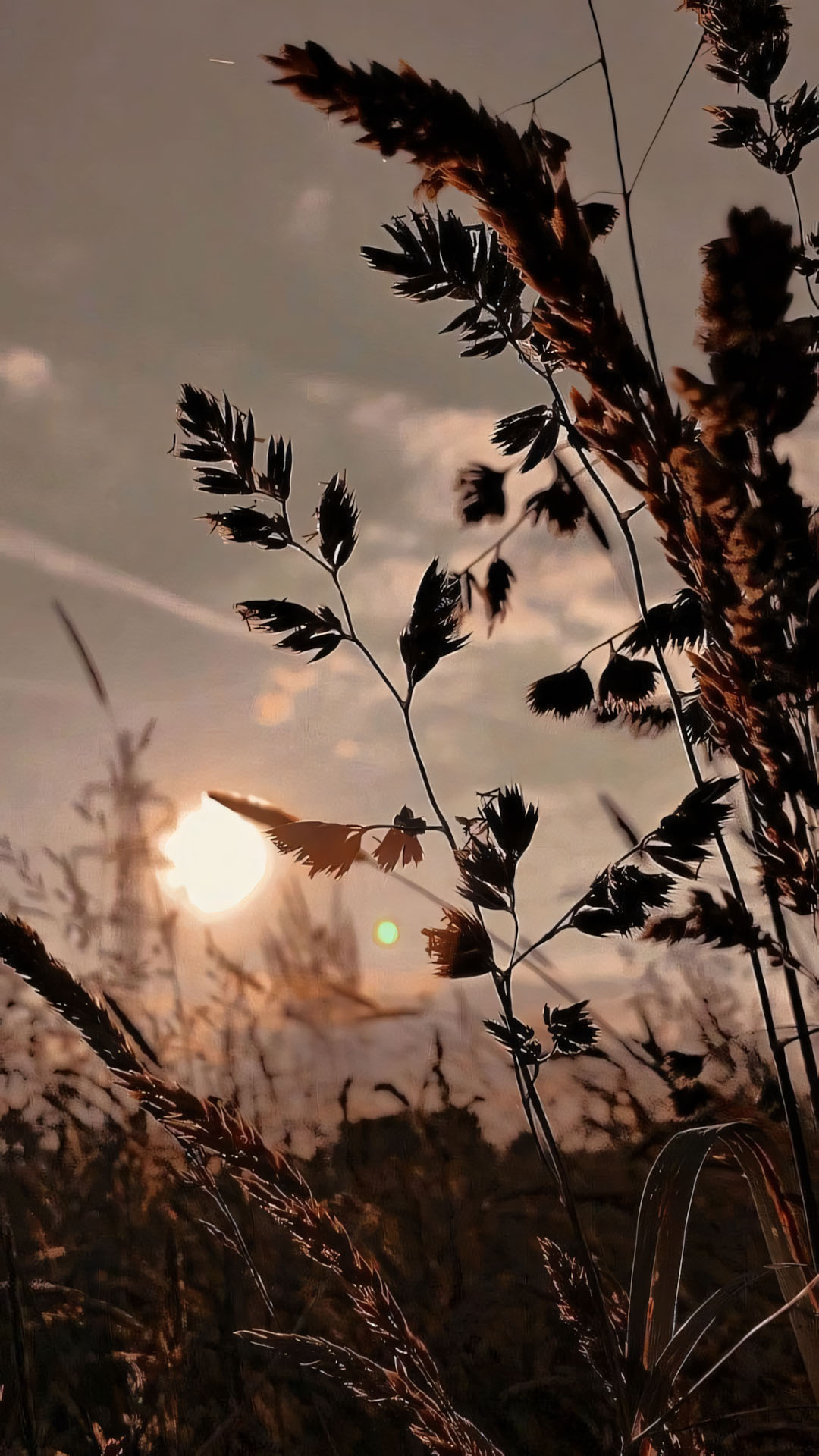 anh chill phong canh buon 1920px 1080px full hd 25