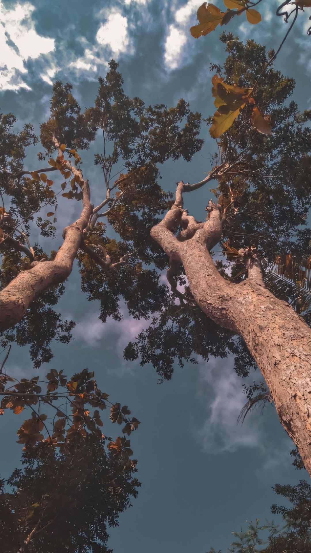 anh chill phong canh buon 1920px 1080px full hd 27