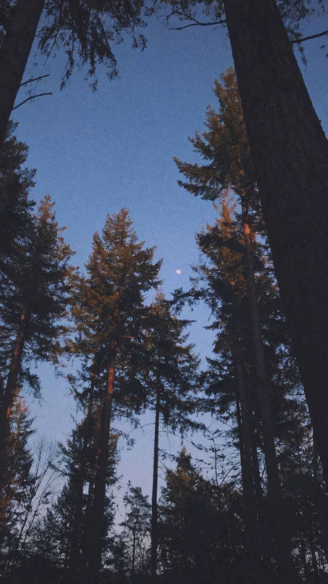 anh chill phong canh buon 1920px 1080px full hd 28