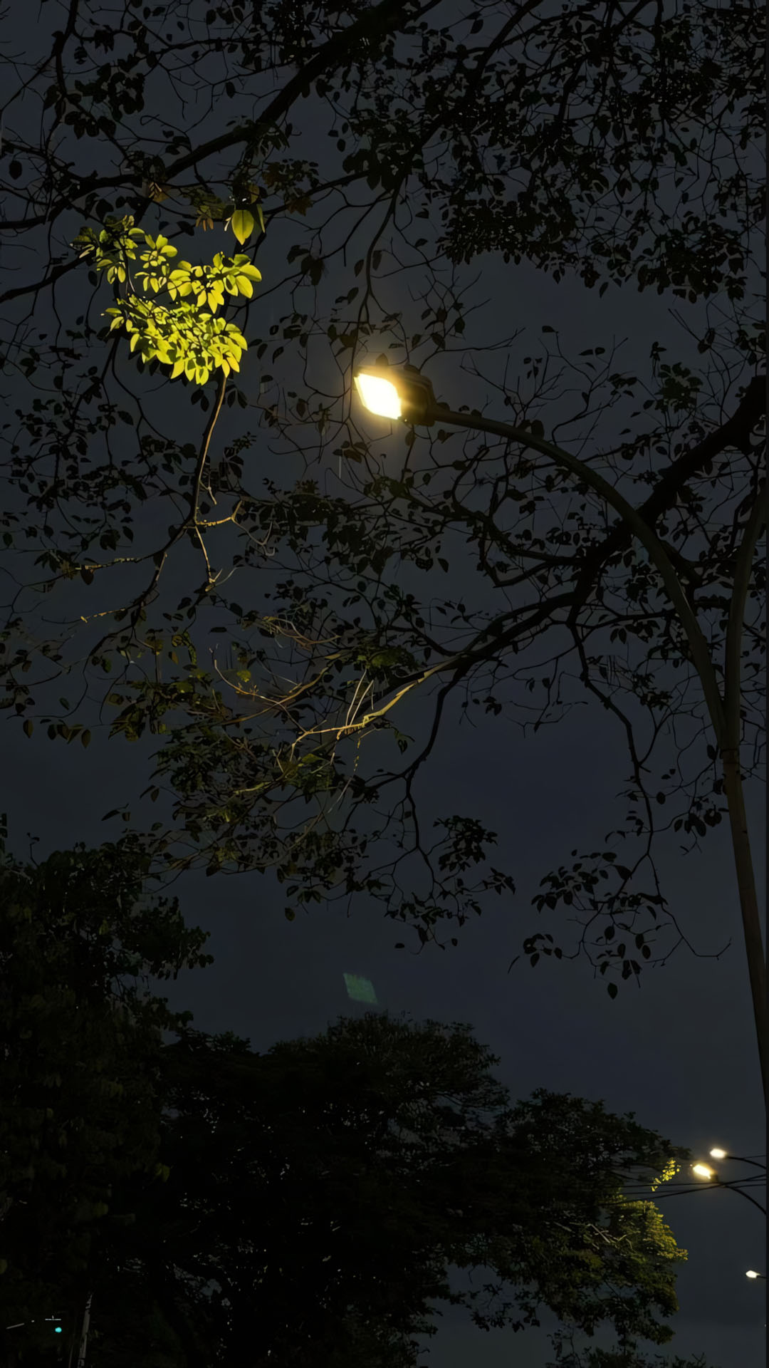 anh chill buon 1920px 1080px full hd 14