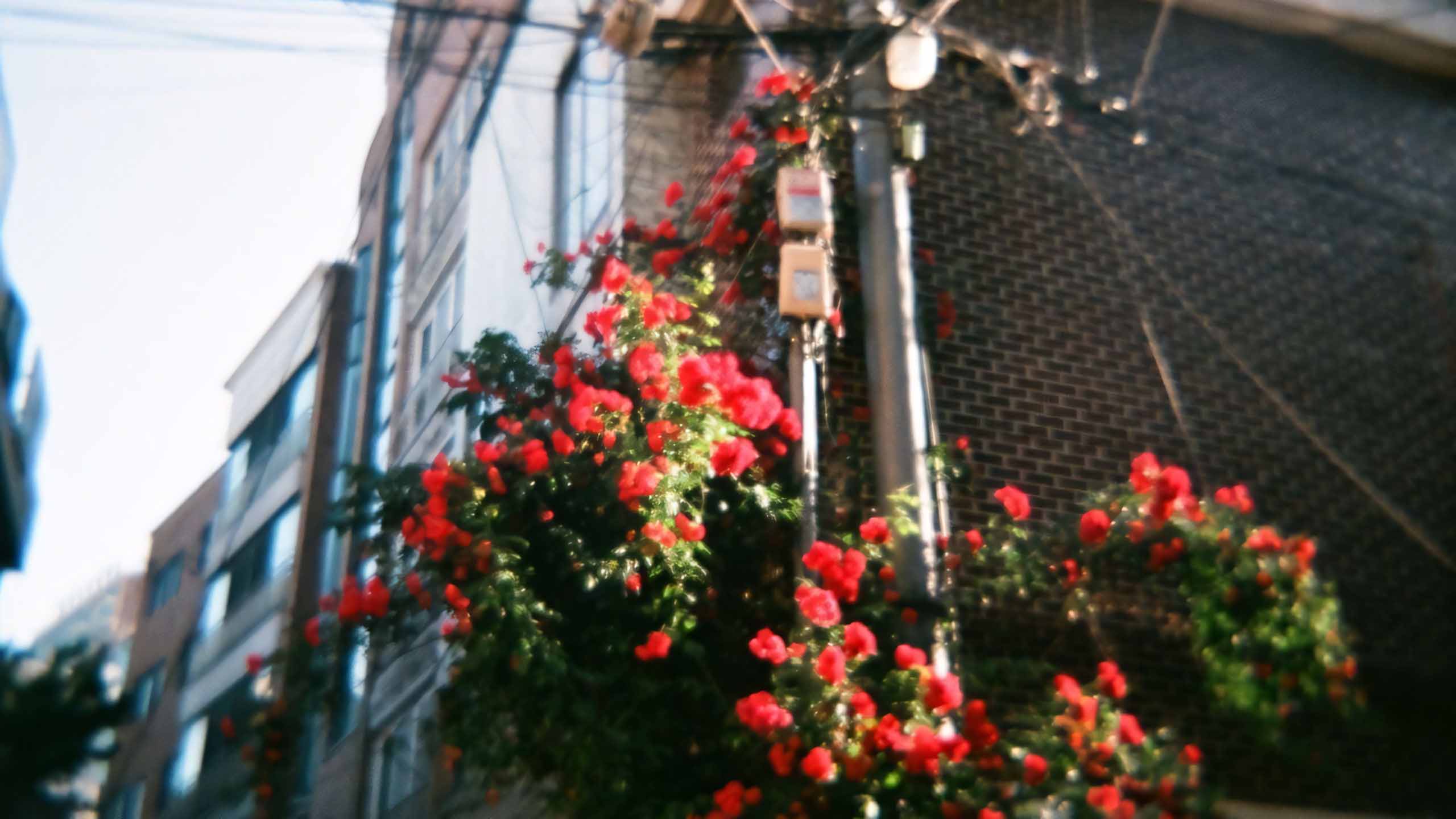 anh chill phong canh buon ngang 2560px 1440px 2k 3