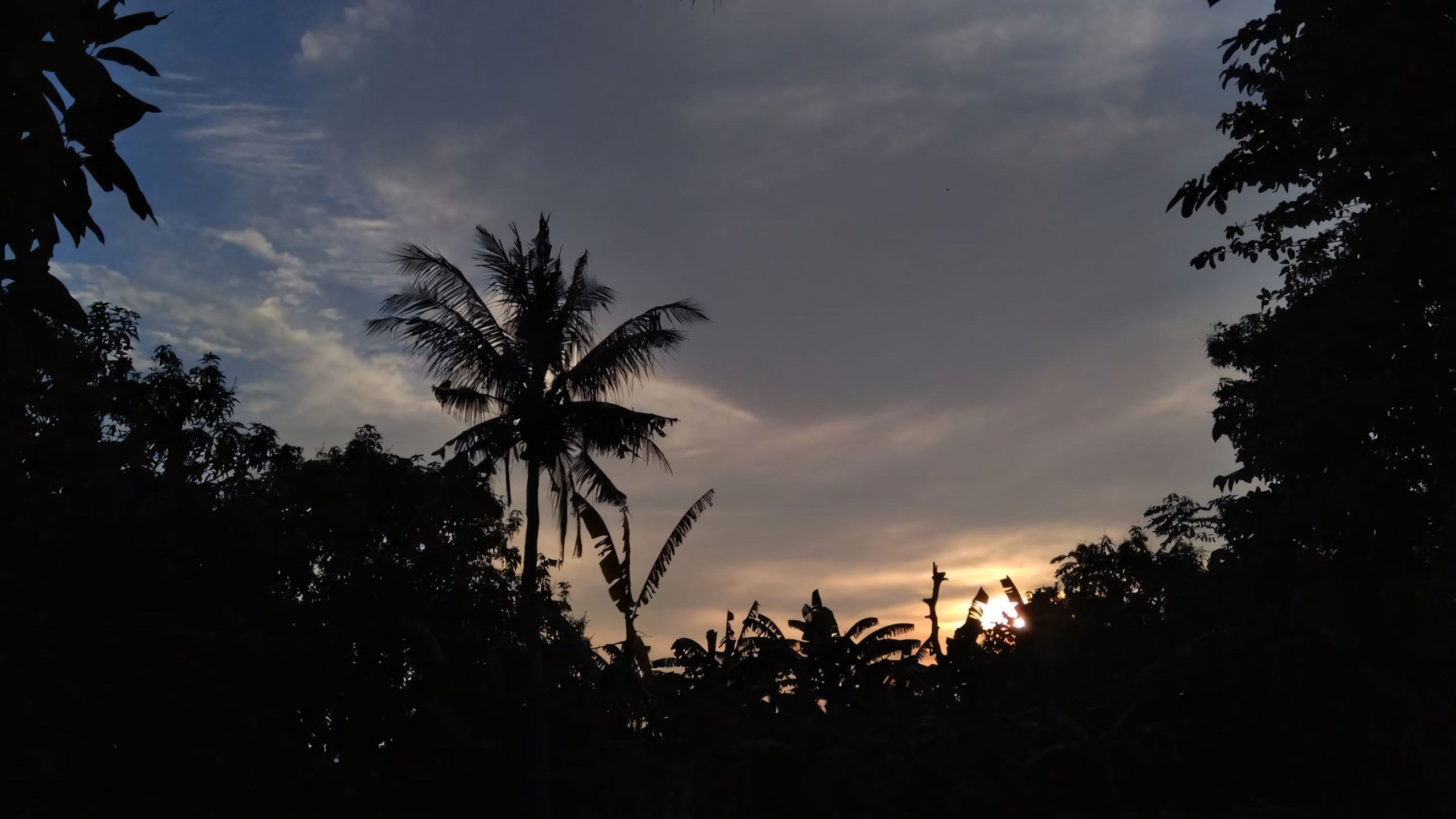 anh chill phong canh buon ngang 2560px 1440px 2k 9