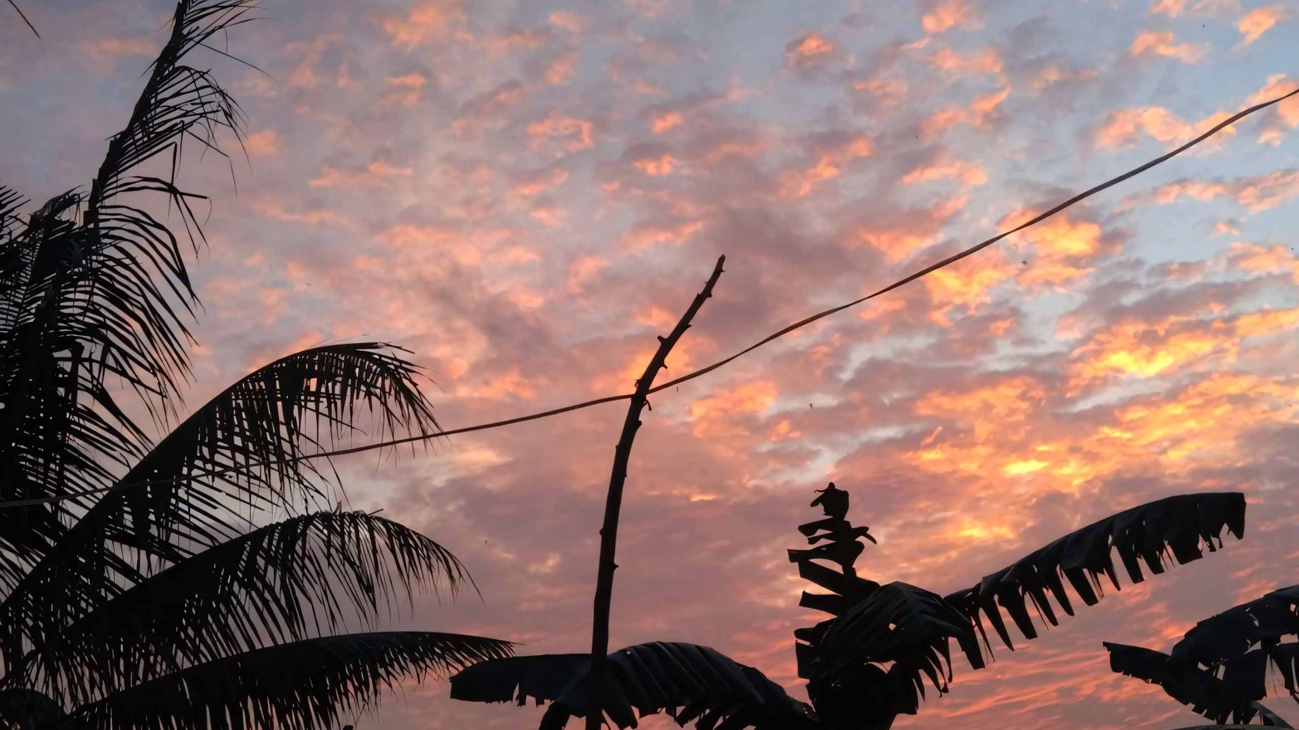 anh chill phong canh buon ngang 2560px 1440px 2k 10