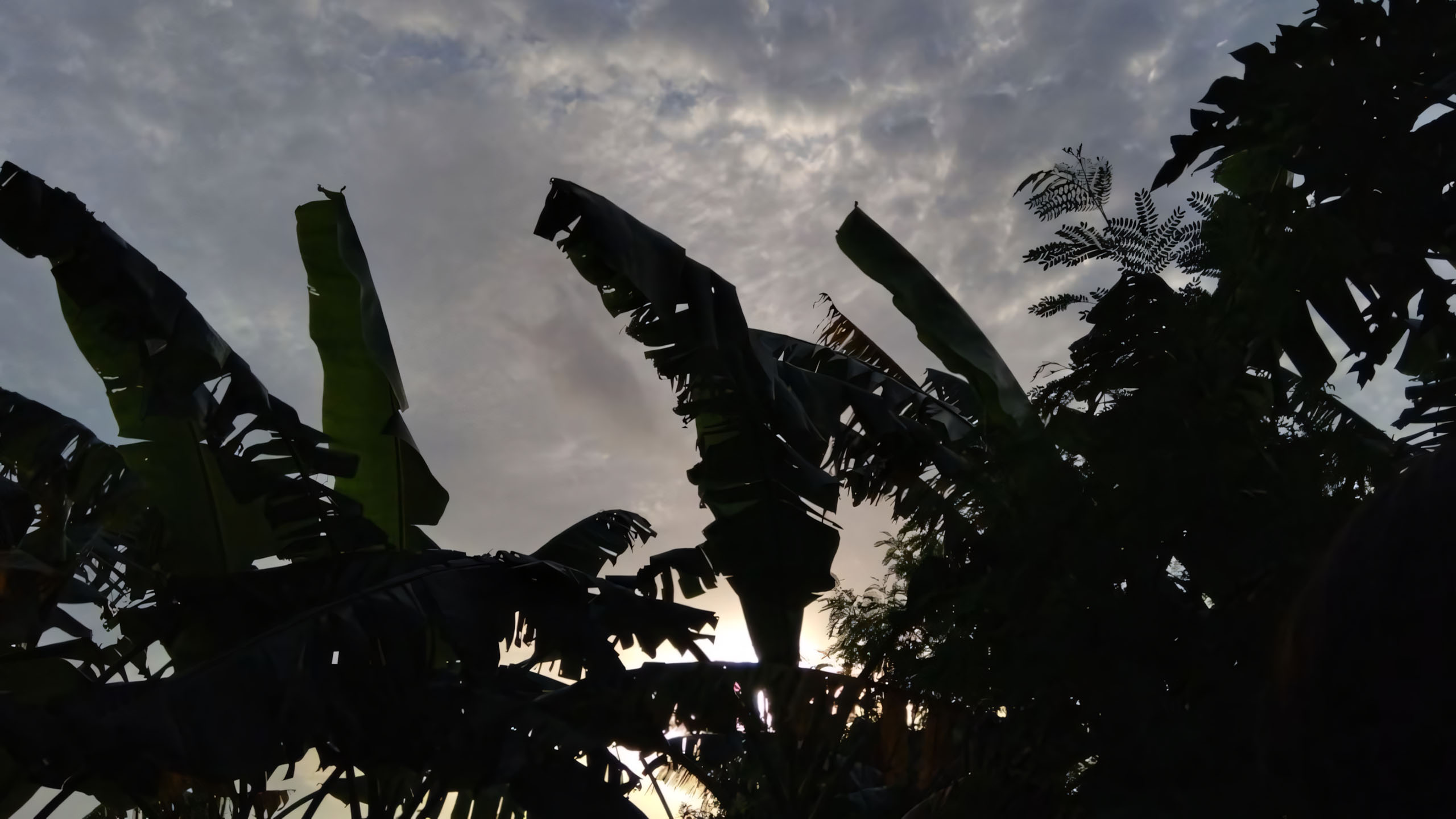 anh chill phong canh buon ngang 2560px 1440px 2k 11