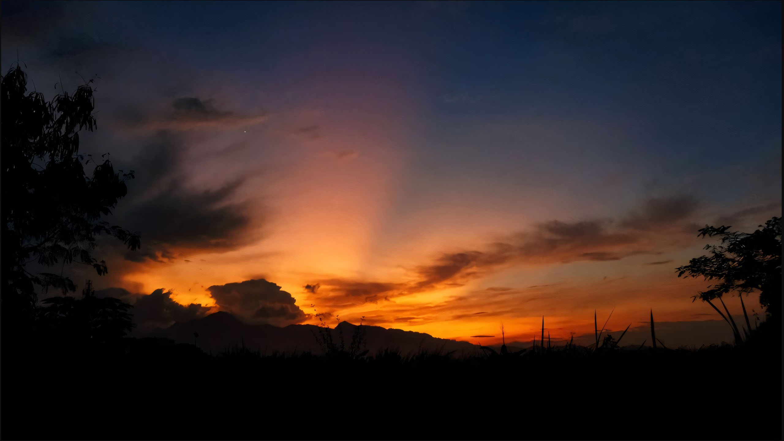 anh chill phong canh buon ngang 2560px 1440px 2k 12