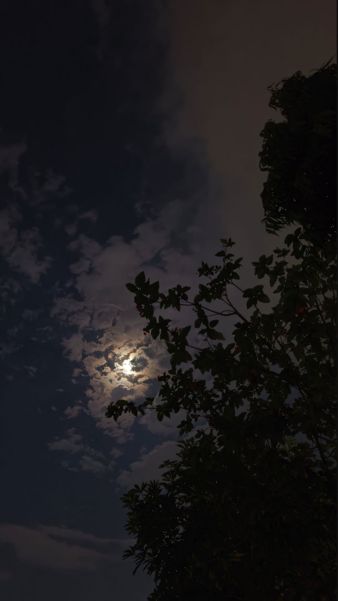 anh chill buon 1920px 1080px full hd 15