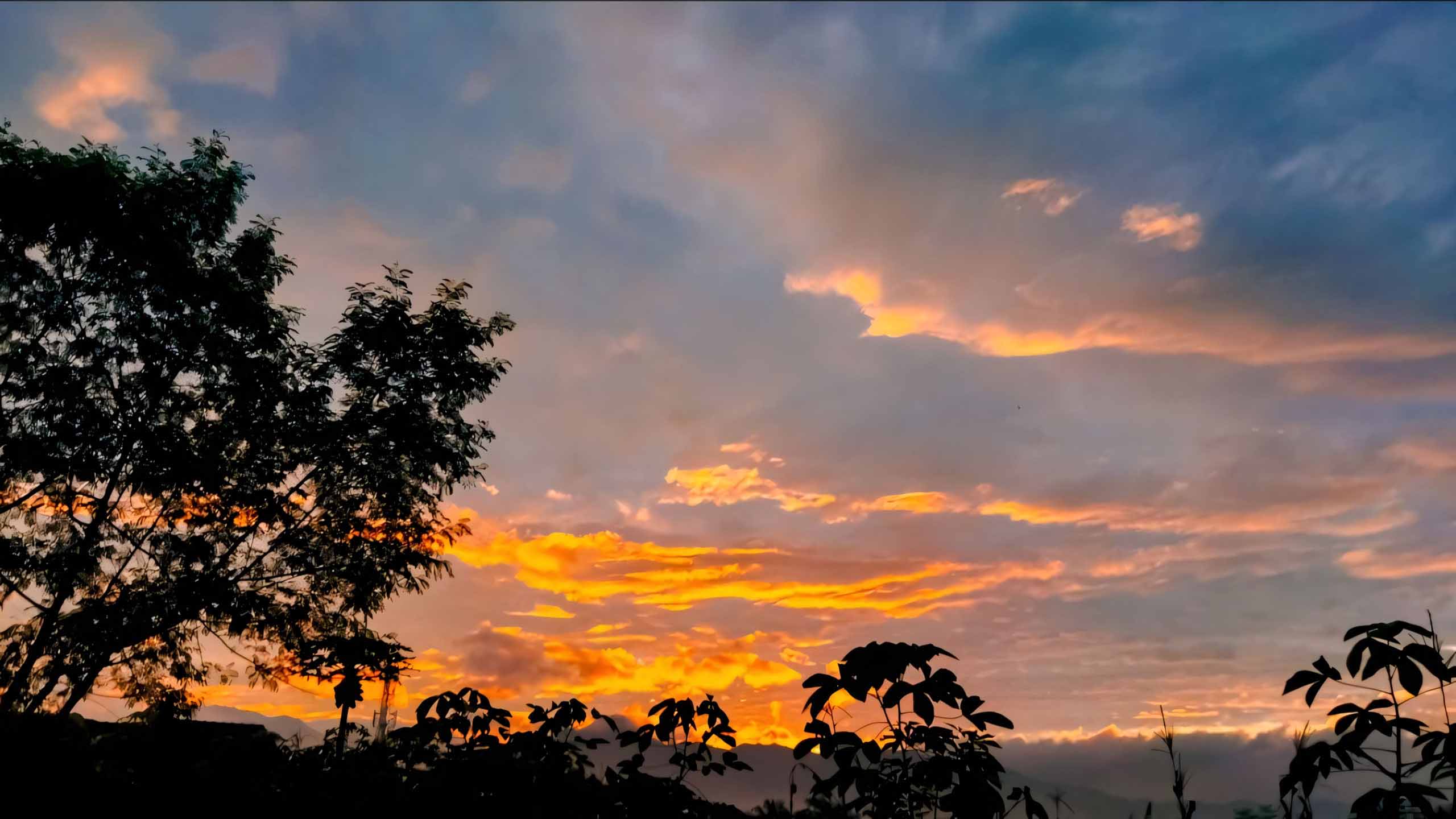 anh chill phong canh buon ngang 2560px 1440px 2k 14