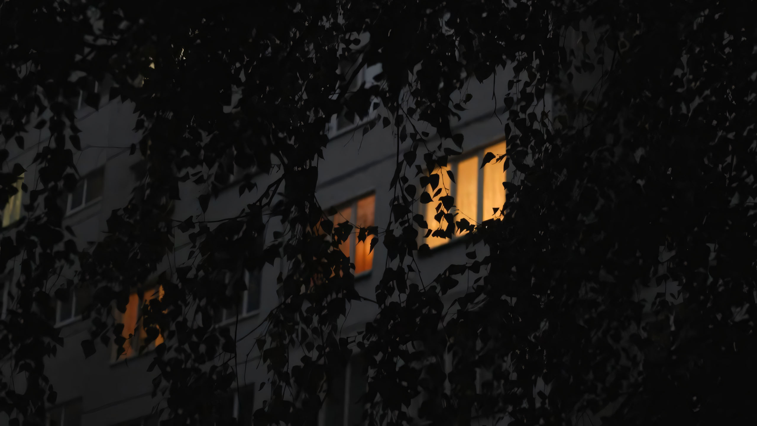 anh chill phong canh buon ngang 2560px 1440px 2k 20