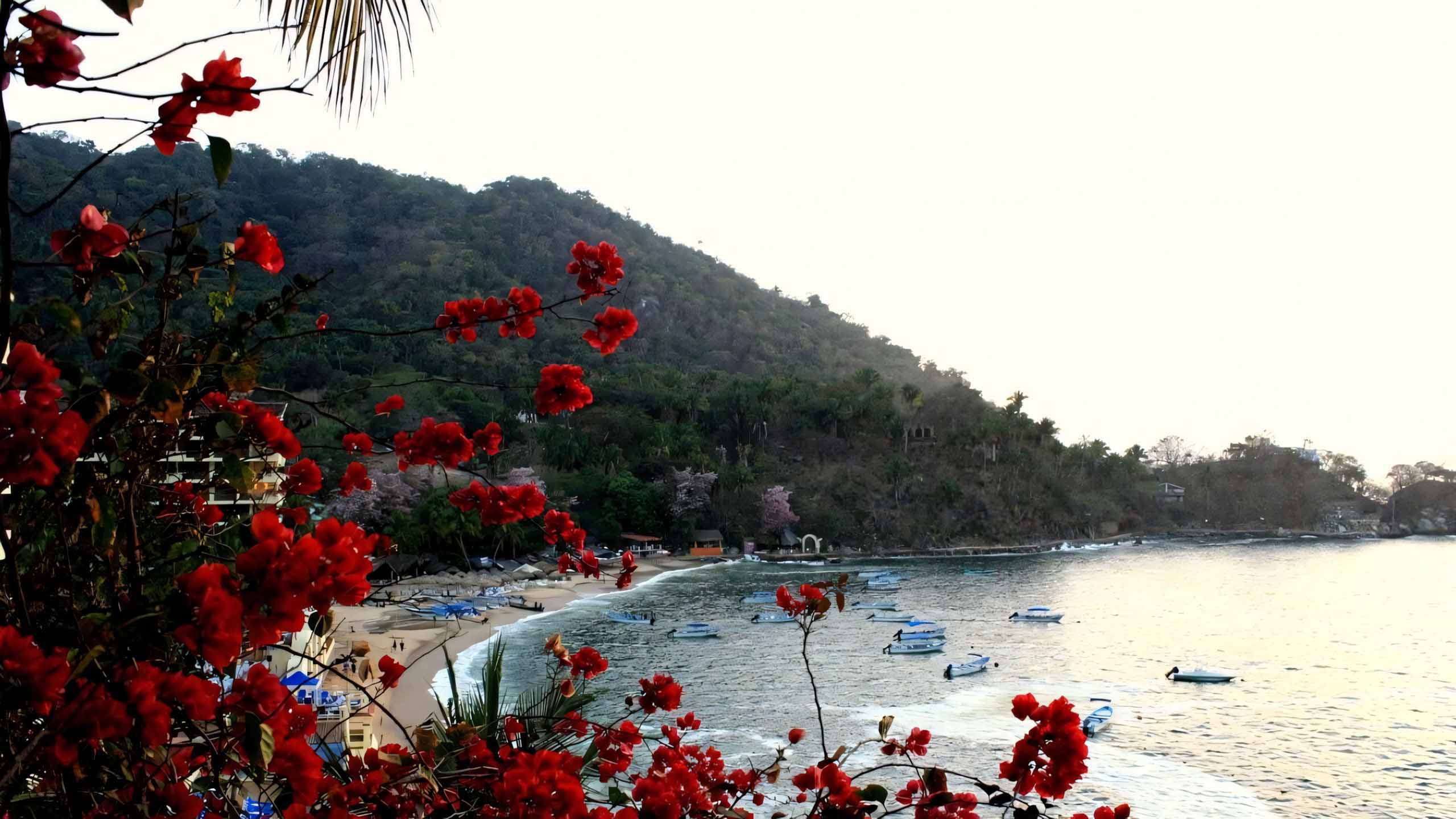 anh chill phong canh buon ngang 2560px 1440px 2k 23