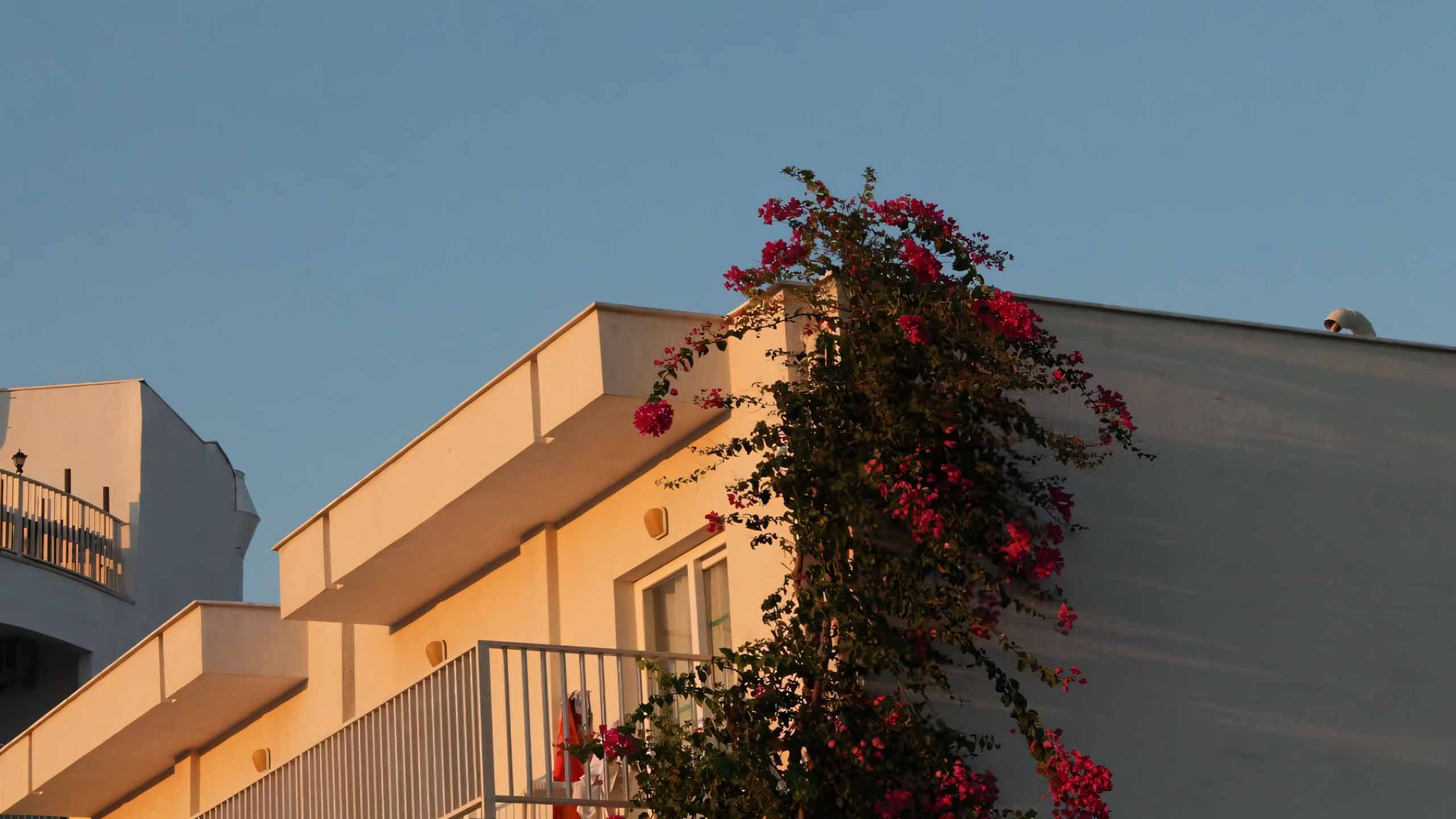 anh tam trang chill 2560px 1440px 2k 22