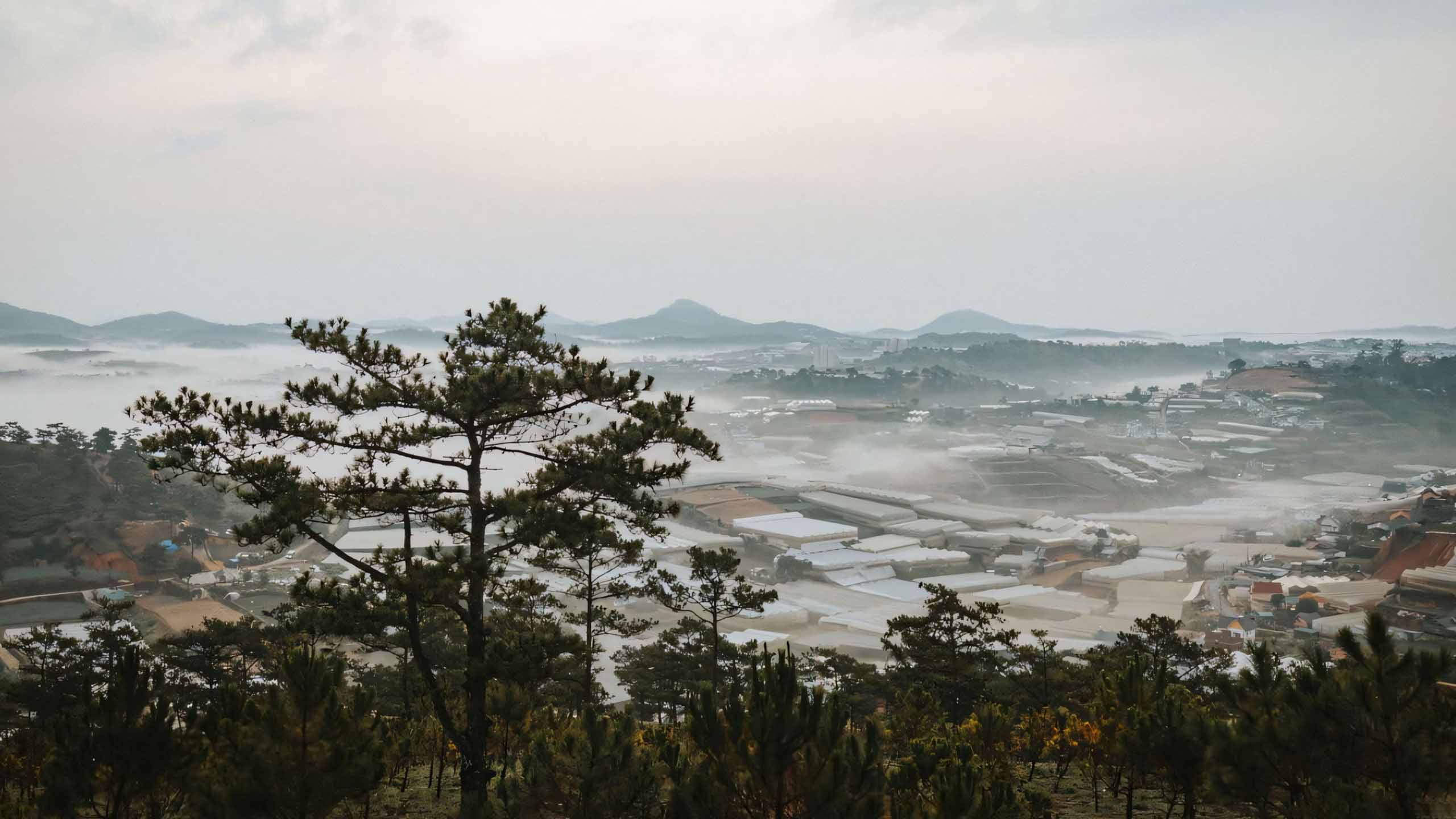 anh tam trang chill 2560px 1440px 2k 3