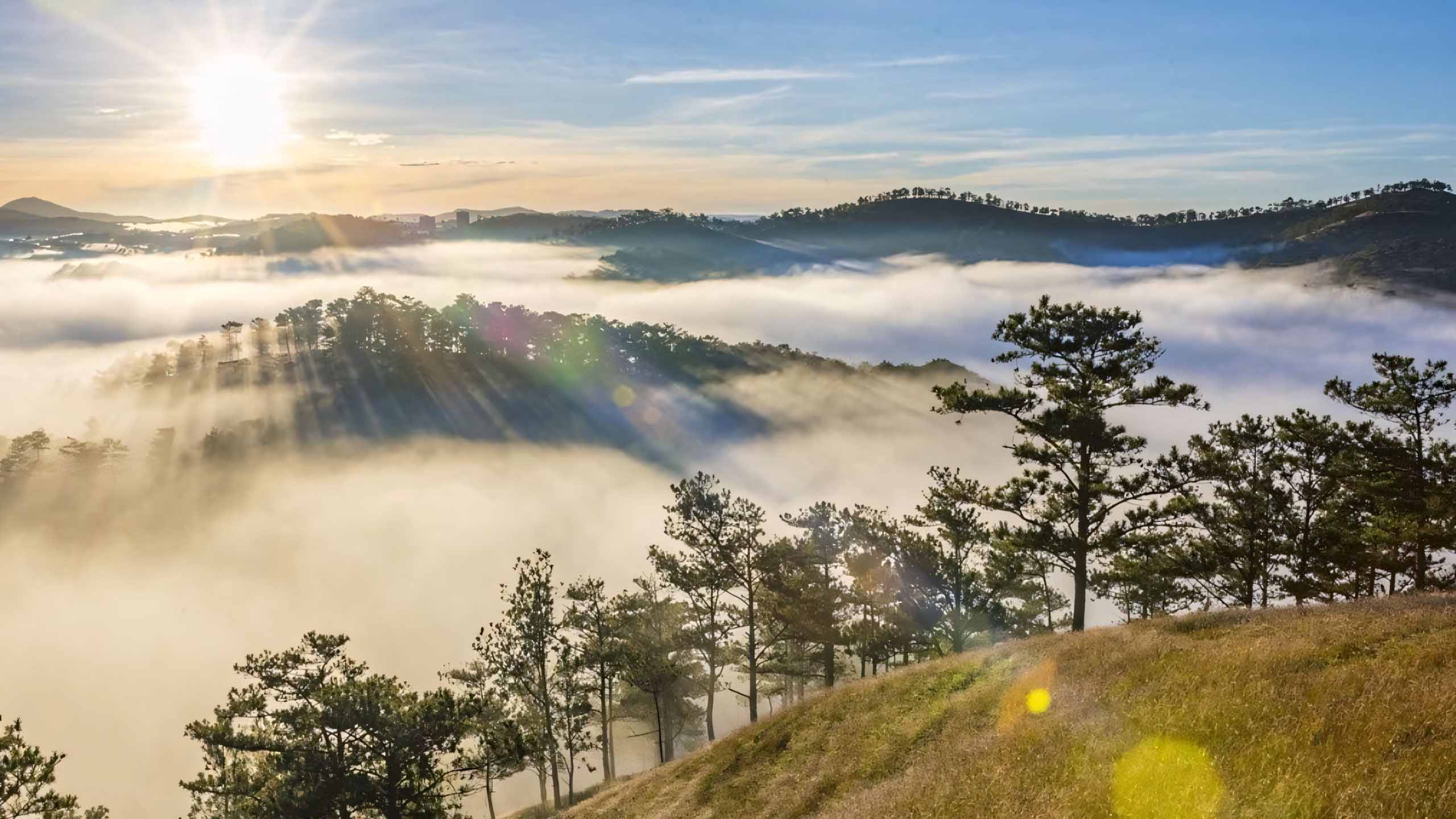 anh tam trang chill 2560px 1440px 2k 4