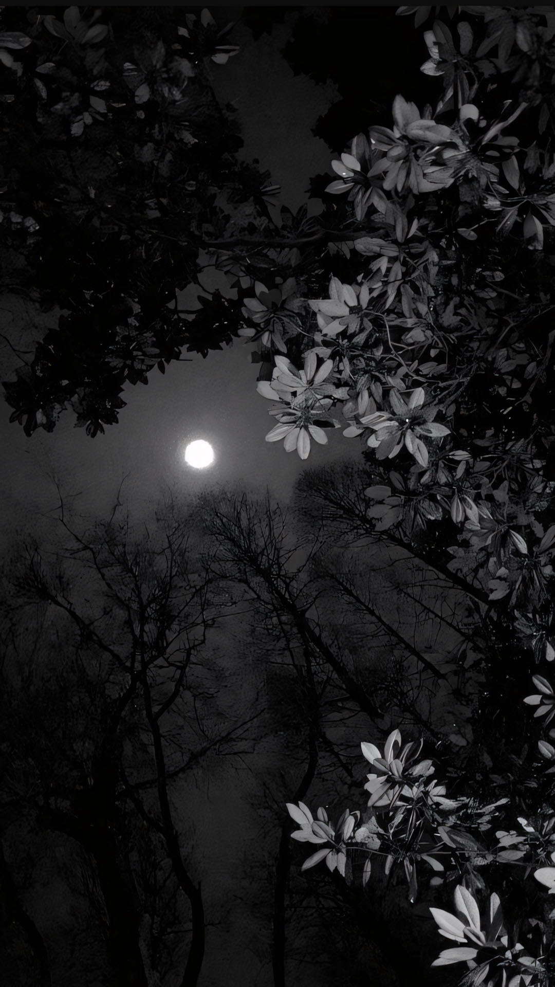 anh chill buon den 1920px 1080px full hd 25