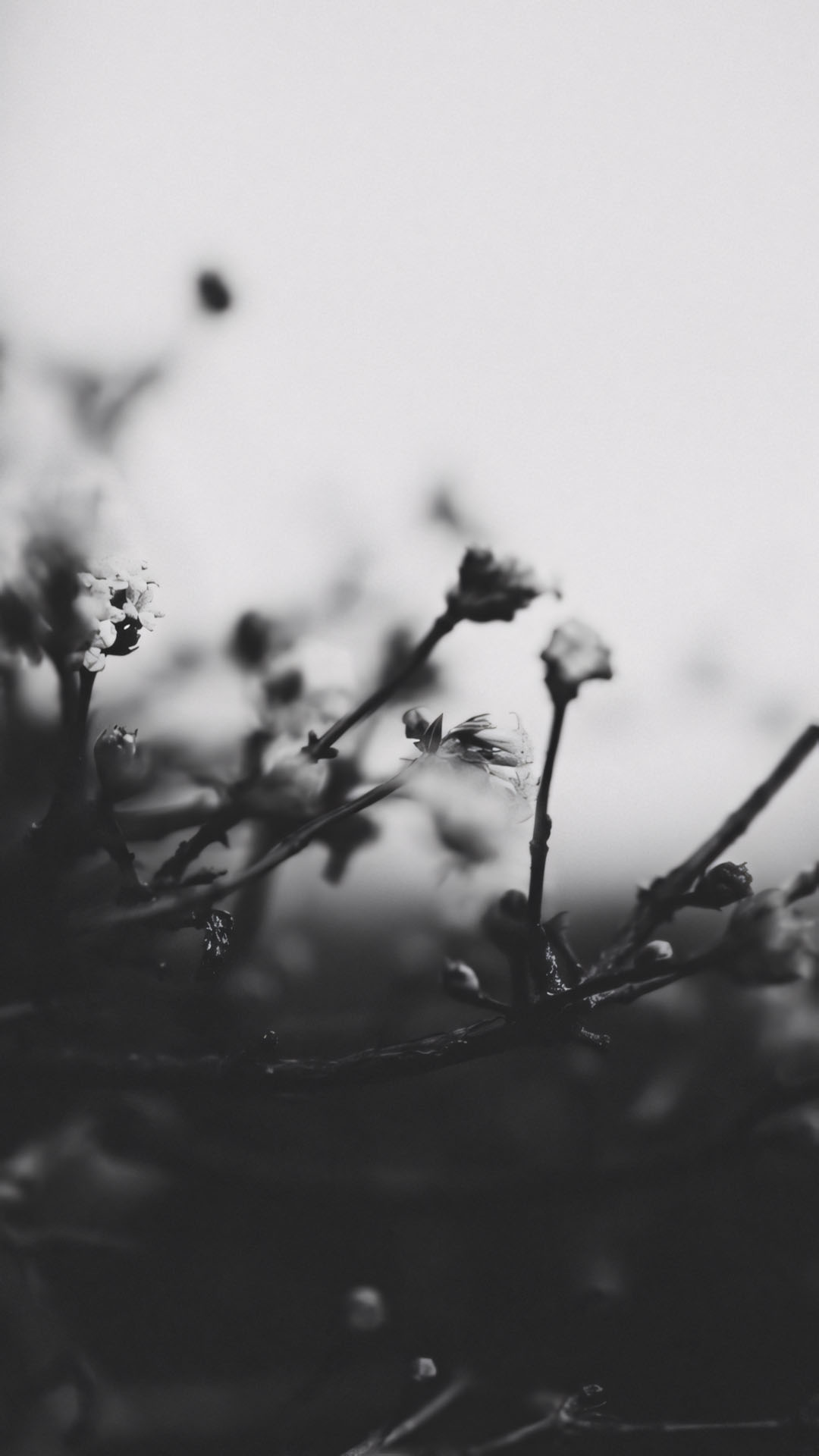 anh chill buon den 1920px 1080px full hd 27