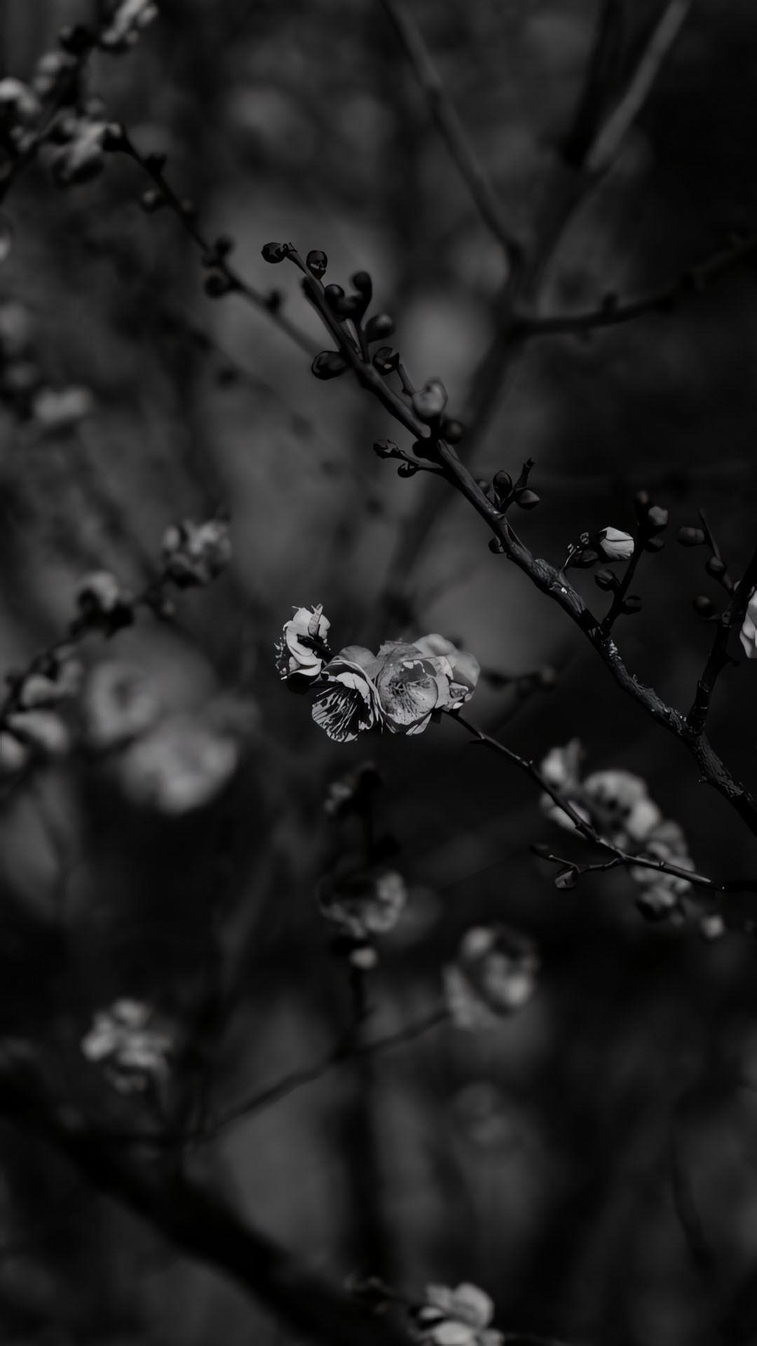 anh chill buon den 1920px 1080px full hd 28