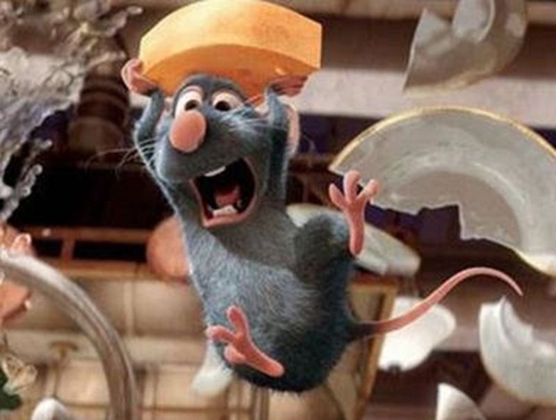 Meme chuột nhà
