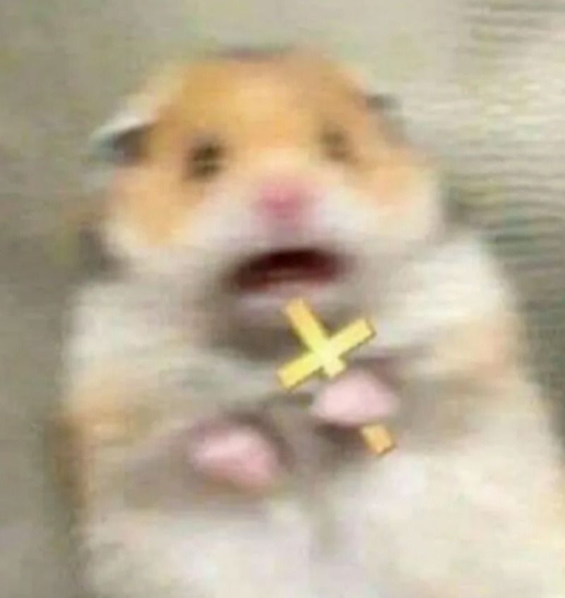 Meme chuột hamster