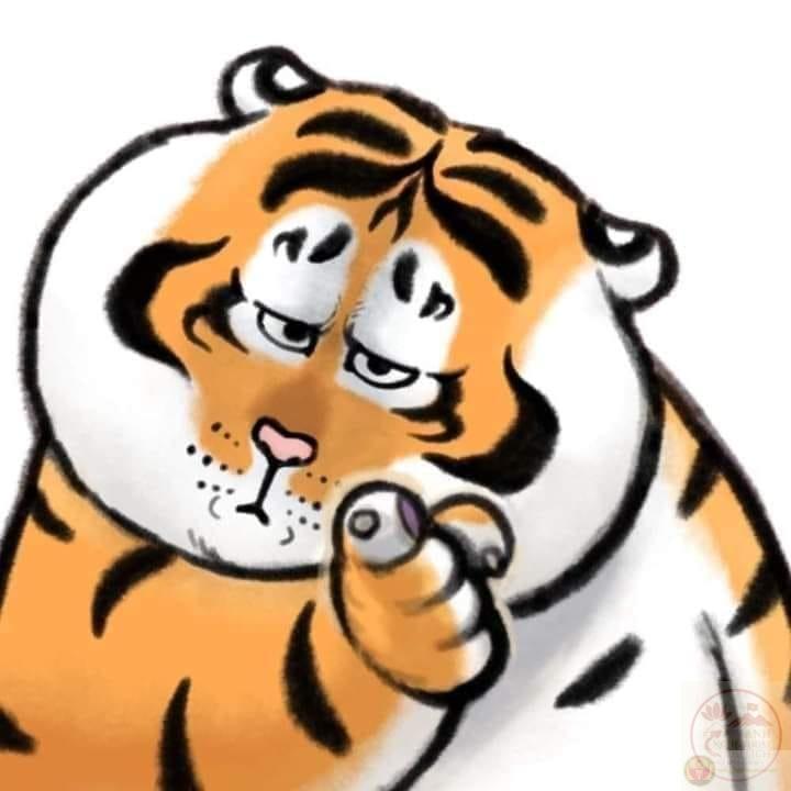 động vật chế ảnh cực vui