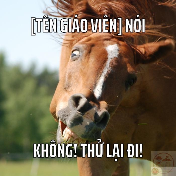 hình ảnh chế động vật troll bá đạo