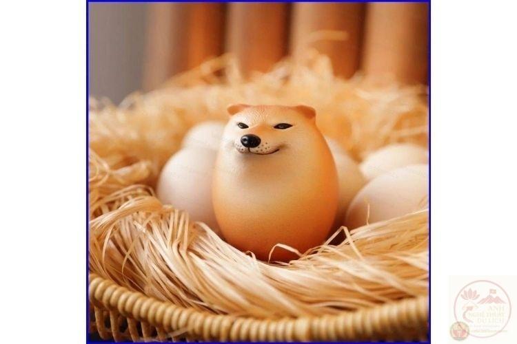 meme động vật cute