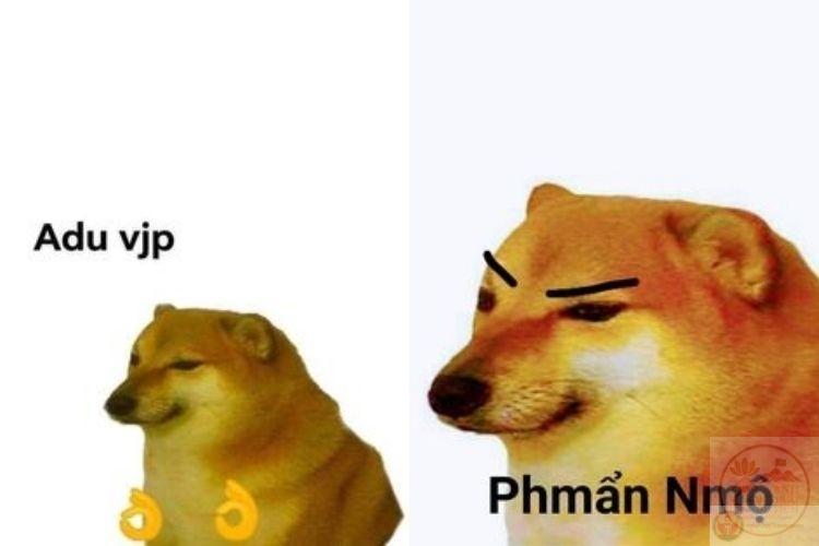 ảnh động vật meme