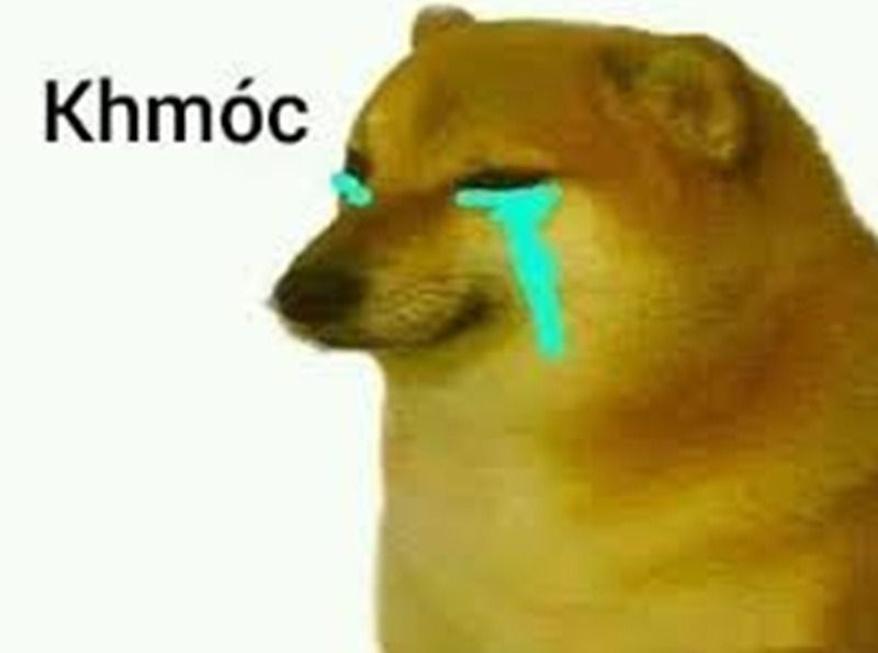 Ảnh chó meme khóc, buồn