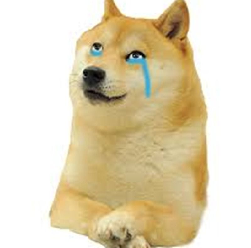 Ảnh chó meme khóc, buồn