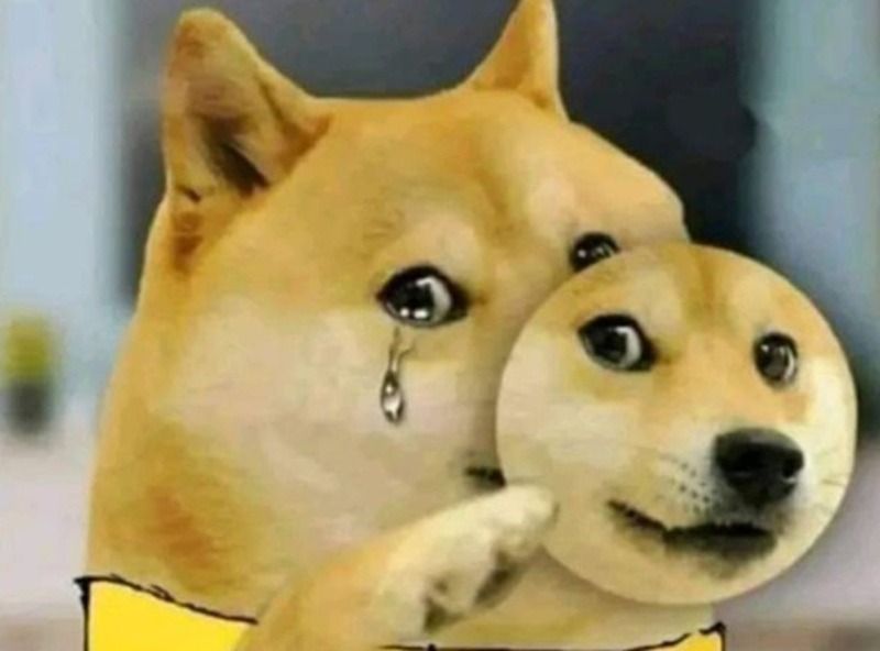 Ảnh chó meme khóc, buồn