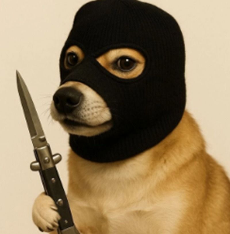 Ảnh chó meme hài hước, tếu