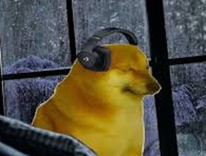 Trọn Bộ Sưu Tập 99+ Ảnh Chó Meme Vui Nhộn, Đáng Yêu 2026