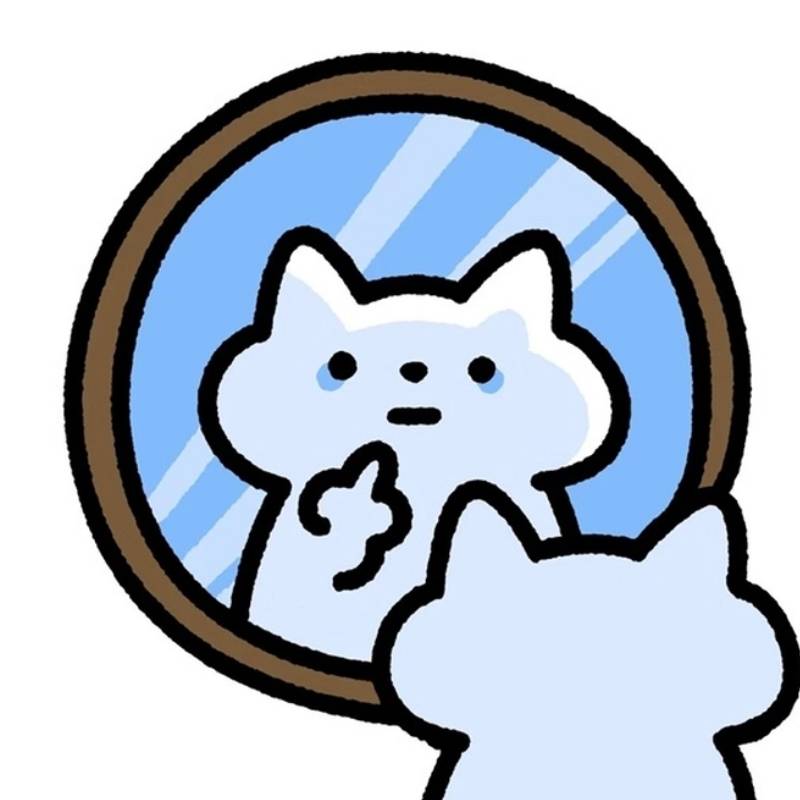 meme ngón giữa khóc trước gương