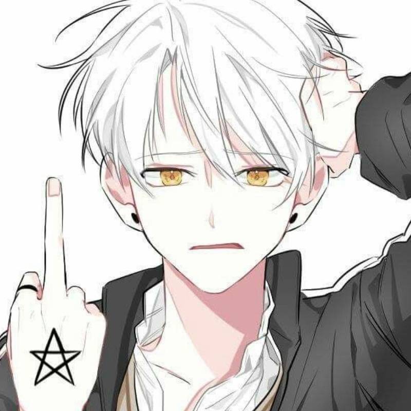 meme bạn trai anime dơ ngón giữa