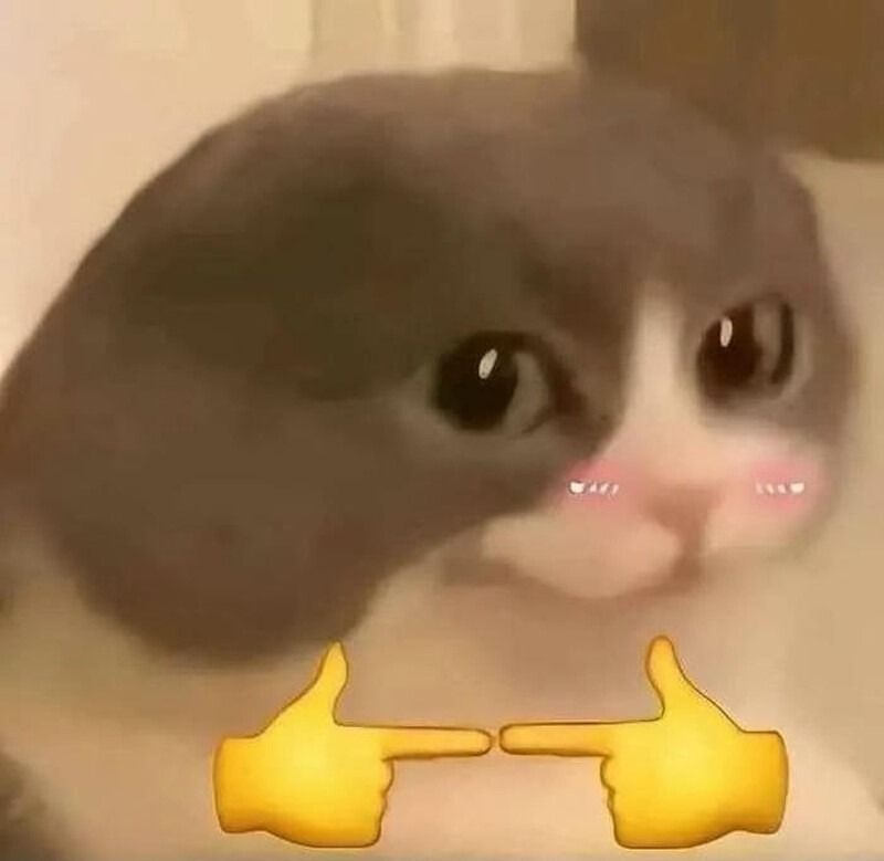 Tổng Hợp 1000+ Meme Ngại Đáng Yêu, Vui Nhộn Hay Dùng Trong Tin Nhắn