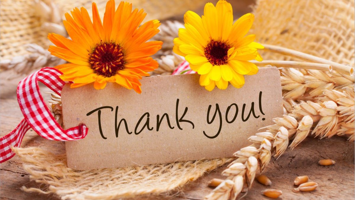 background Hình nền PowerPoint cảm ơn cuối slide đẹp, chuyên nghiệp