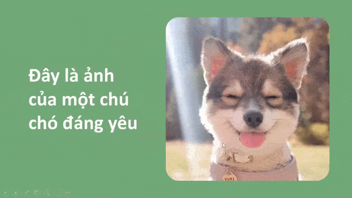 Hướng dẫn trình chiếu hình ảnh đơn giản chuyên nghiệp Powerpoint