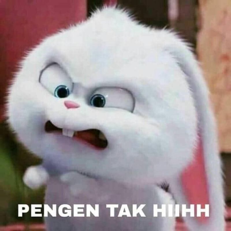 Meme tức giận cute