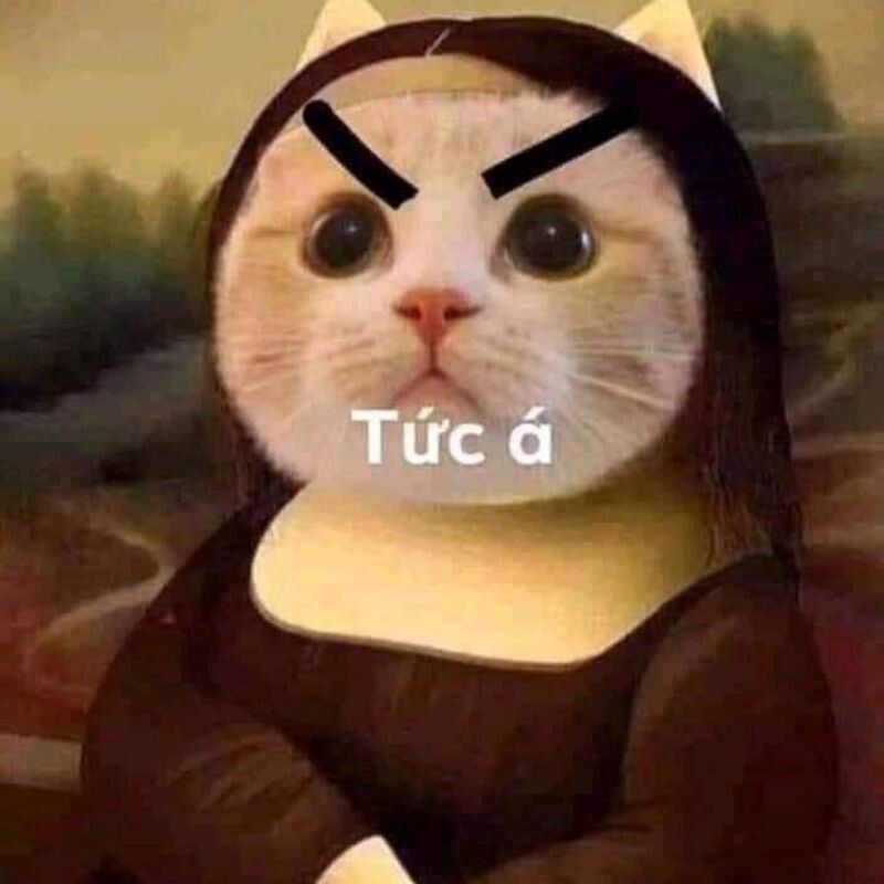 Meme tức giận cute