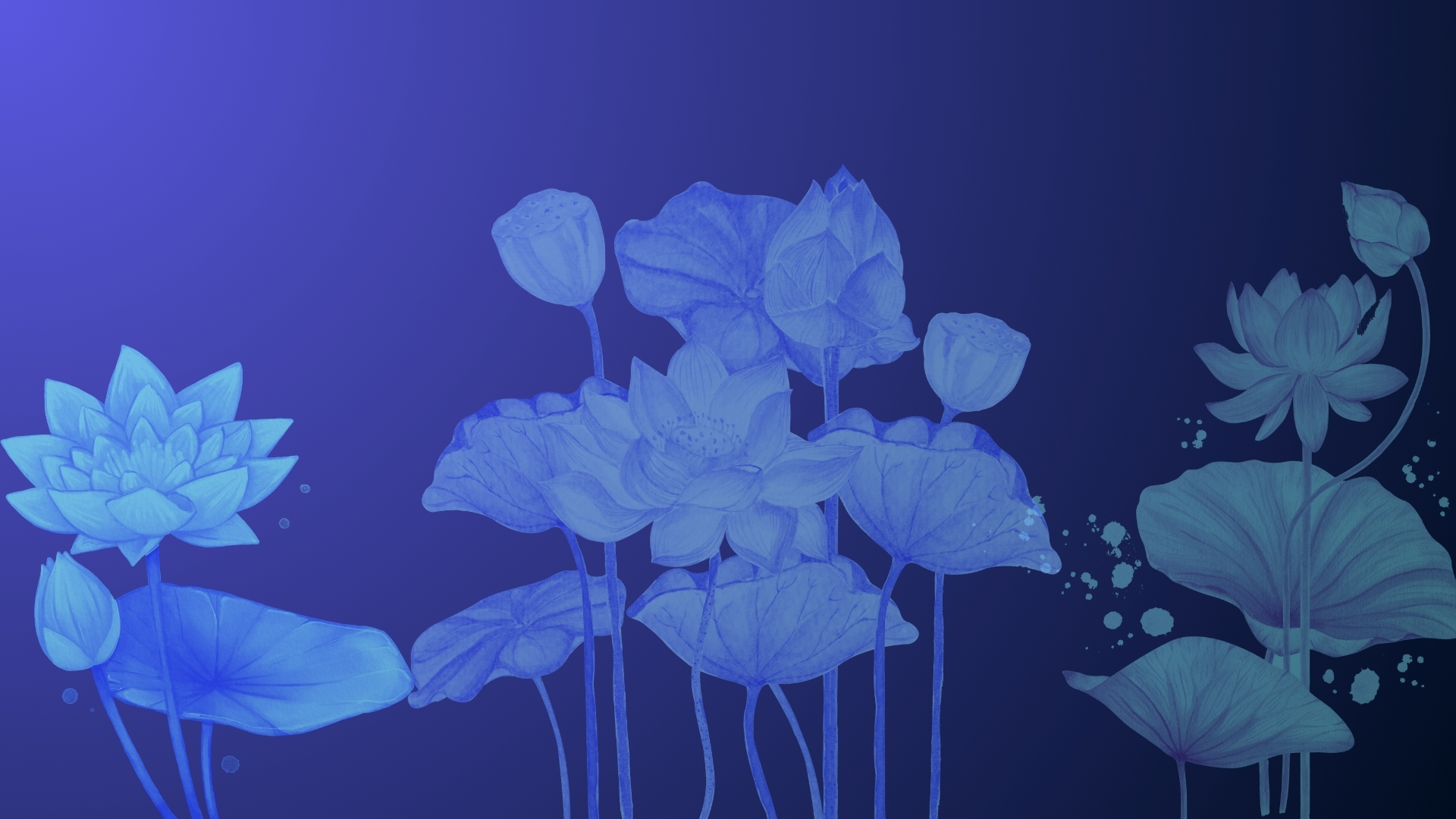 background xanh hoa sen