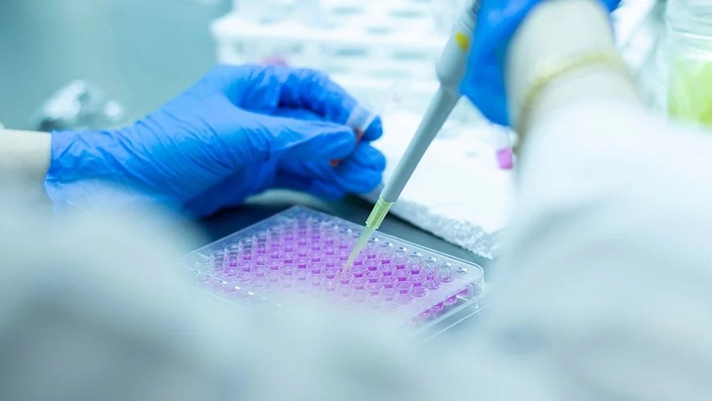 Tế bào gốc toàn năng: Đặc điểm và tiềm năng ứng dụng trong y học 3