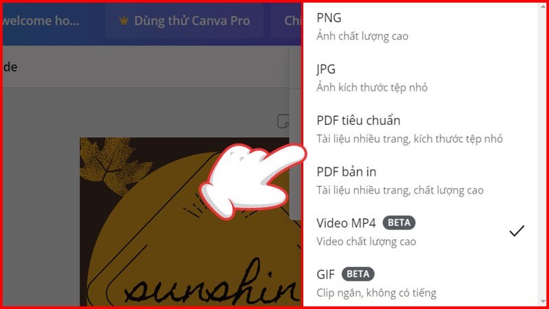 Lựa chọn Loại tệp phù hợp hình ảnh nhấn tiếp Enter để hoàn thành quá trình