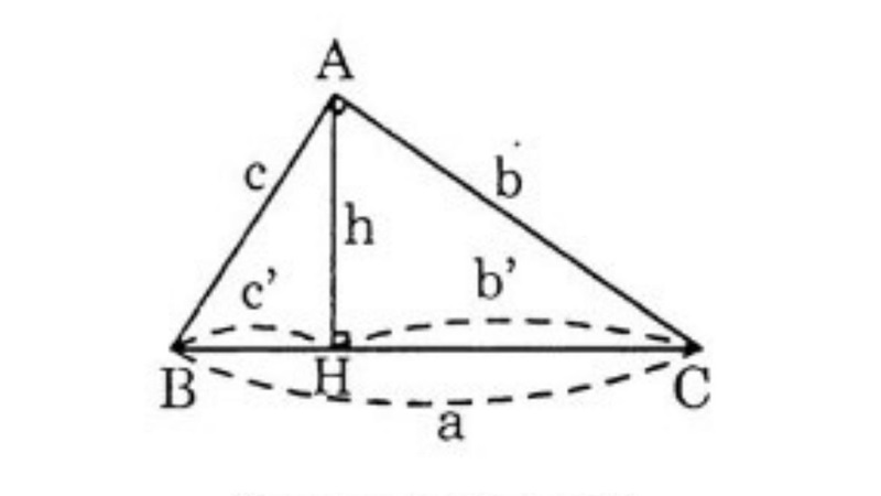 cach-tinh-dien-tich-tam-giac-vuong-3