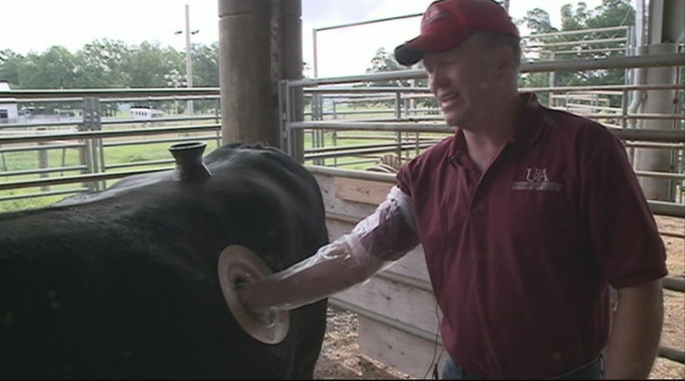 Dù cách làm này có lợi đến đâu, nhưng những cái lỗ, ống dẫn cỡ lớn kia cũng đủ khiến chúng ta rùng mình.