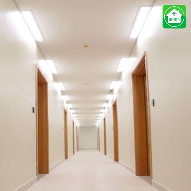 Đèn cảm ứng là gì? Ưu điểm & ứng dụng của đèn LED cảm ứng