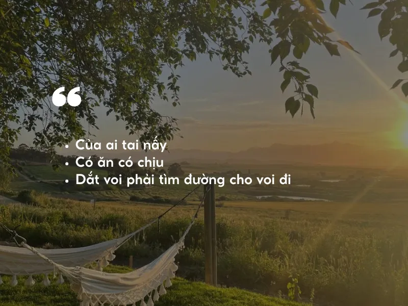 tuc-ngu-thanh-ngu-trach-nhiem-voh