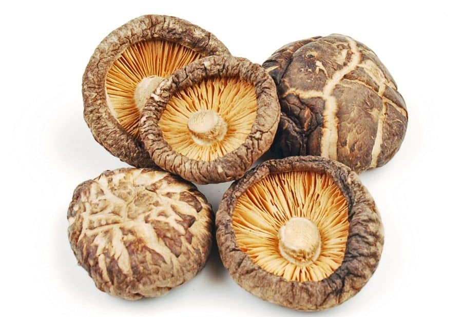 Những lợi ích tuyệt vời của Nấm hương đối với sức khỏe