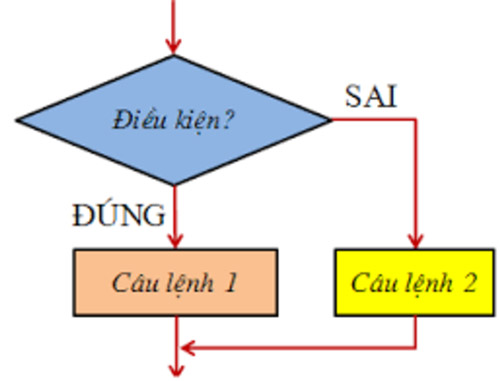 Sơ đồ khối của cấu trúc rẽ nhánh dạng đủ
