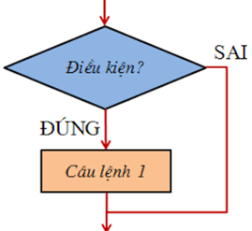 Cấu trúc rẽ nhánh có mấy loại? Kể tên và vẽ sơ đồ khối