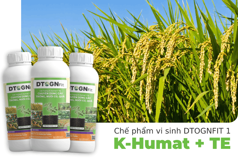 Chế phẩm vi sinh K-Humat + TE (DTOGNFIT 1) CHUYÊN DÙNG CHO CÂY TRỒNG
