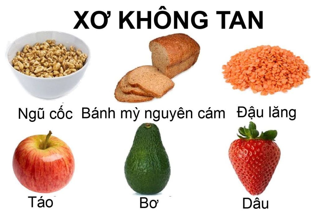 Thế nào là chất xơ không hòa tan?